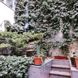 Jedermann Budapest - Egyéb