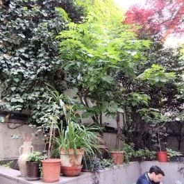 Jedermann Budapest - Egyéb