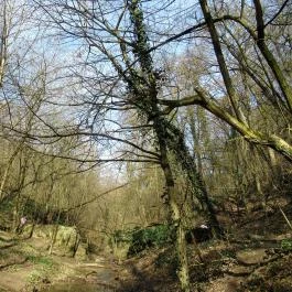 Jegenye-völgyi vízesés Solymár - Egyéb