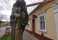 Jéger Söröző Makó