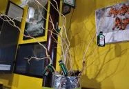 Jéger Söröző Makó