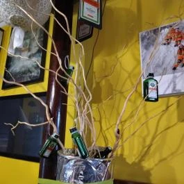 Jéger Söröző Makó - Belső