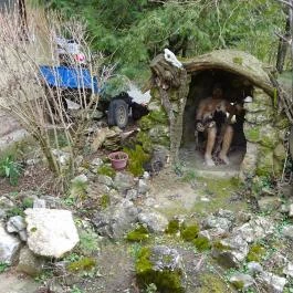 Jenei Kávéház & Cukrászda Vértesszőlős - Külső kép