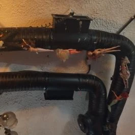 Jenő Bár Budapest - Egyéb