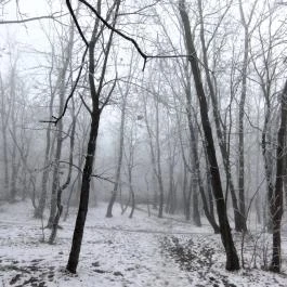 Jókai-kert, Budapest - Egyéb
