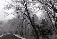 Jókai-kert Budapest