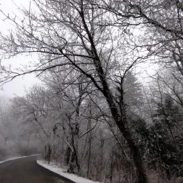 Jókai-kert, Budapest - Egyéb