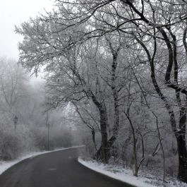 Jókai-kert, Budapest - Egyéb
