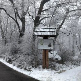 Jókai-kert, Budapest - Egyéb