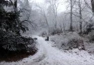 Jókai-kert Budapest