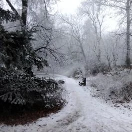 Jókai-kert, Budapest - Egyéb