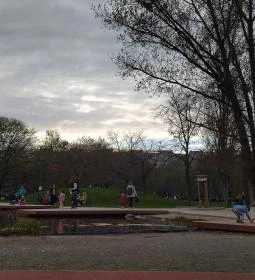 Jónás Craft Beer & Food