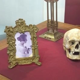 József Attila Városi Könyvtár és Múzeum, Makó - Egyéb