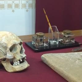 József Attila Városi Könyvtár és Múzeum, Makó - Egyéb