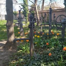 József Attila Városi Könyvtár és Múzeum, Makó - Egyéb