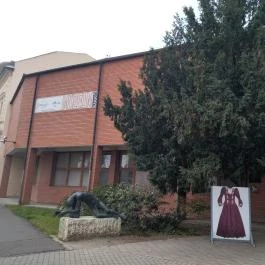 József Attila Városi Könyvtár és Múzeum, Makó - Egyéb