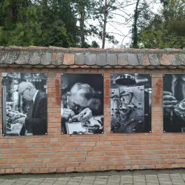 József Attila Városi Könyvtár és Múzeum, Makó - Egyéb