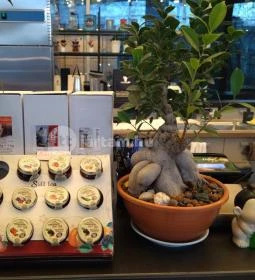 Juffee Juice & Coffee