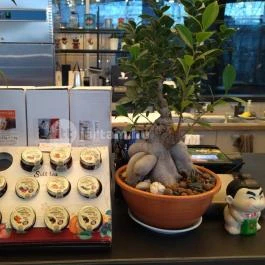 Juffee Juice & Coffee Budapest - Belső