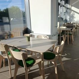 Juharfa Specialty Coffee Székesfehérvár - Belső