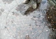 Juhász Ferenc szobor Biatorbágy