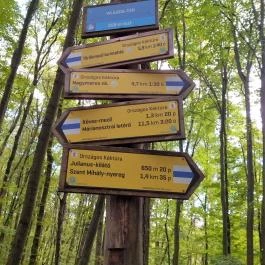 Julianus Kilátó Nagymaros - Egyéb