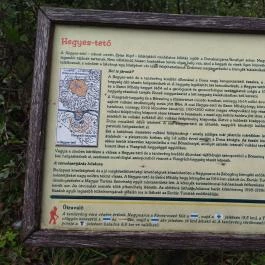 Julianus Kilátó Nagymaros - Egyéb