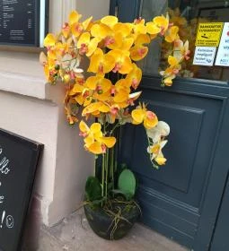 KA&VE Restaurant & Cocktail Bar