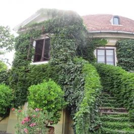 Kabar Kert Borbár - Selyemgombolyító Gourmet Garden, Budapest - Egyéb