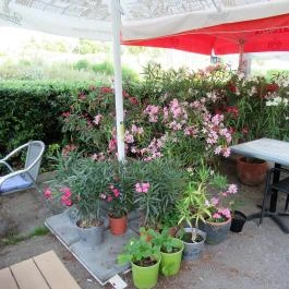 Kacsa Bisztró Budapest - Belső