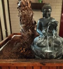 KADO Dim Sum & Cocktail