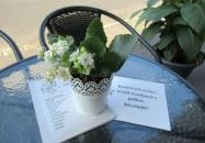 Kaffa Kávéház Érd