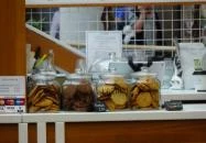 Kaffeine Espresso Bar - Allee Budapest