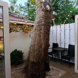 Kakukk Vendéglő Budapest - Egyéb