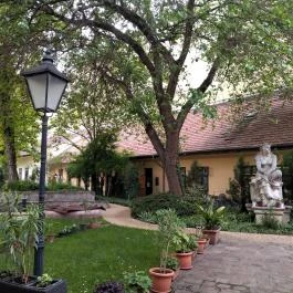 Kálvin Kamara Kert Budapest - Egyéb