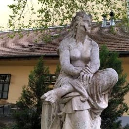 Kálvin Kamara Kert Budapest - Egyéb