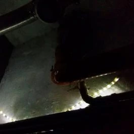 Kantin, Budapest - Belső