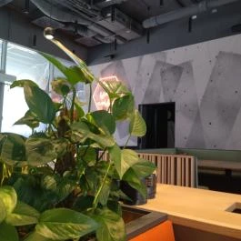 Kantinetta Café Budapest - Belső