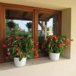 Kanyar Cukrászda & Fagyizó Simontornya - Egyéb