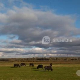 Kápolnapusztai Bivalyrezervátum Kápolnapuszta - Egyéb