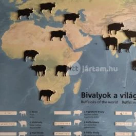 Kápolnapusztai Bivalyrezervátum Kápolnapuszta - Egyéb