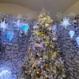 Karácsonyház, Gödöllő - Egyéb