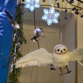 Karácsonyház, Gödöllő - Egyéb