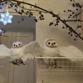 Karácsonyház, Gödöllő - Egyéb