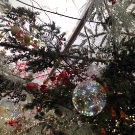 Karácsonyház, Gödöllő - Egyéb