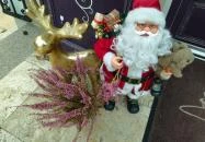 Karl Cukrászda Dunaharaszti