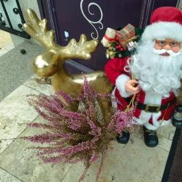 Karl Cukrászda, Dunaharaszti - Egyéb