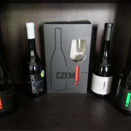 Kastély Kávézó, Tolcsva - Belső