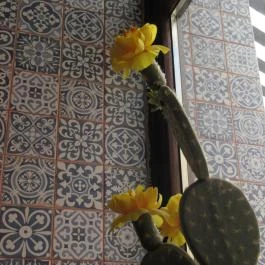 Kata Restaurant Budapest - Belső