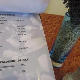 Kávézó a Várkastélyban Ozora - Egyéb